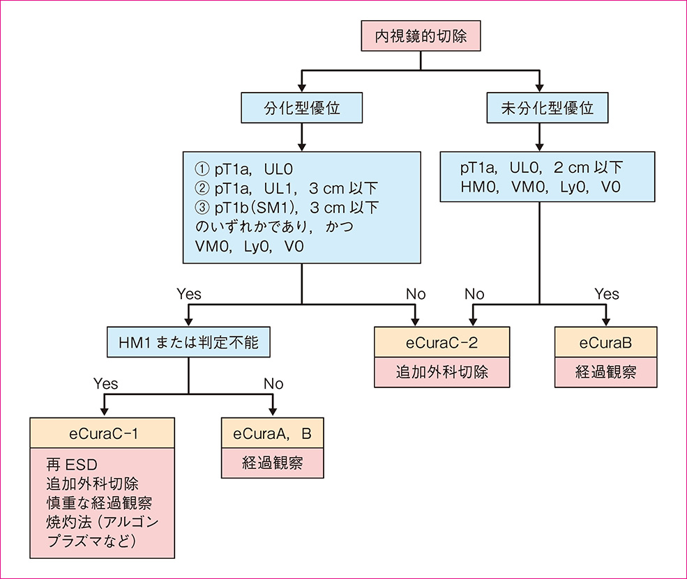 内視鏡的切除後の治療方針アルゴリズム