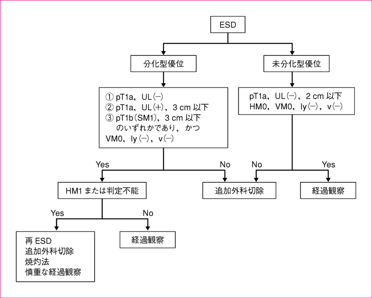 ESD後の治療方針アルゴリズム