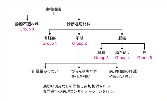 図11　Group分類に用いられる病理診断のアルゴリズム