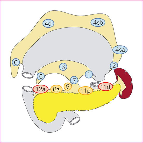 図2　胃全摘術の郭清