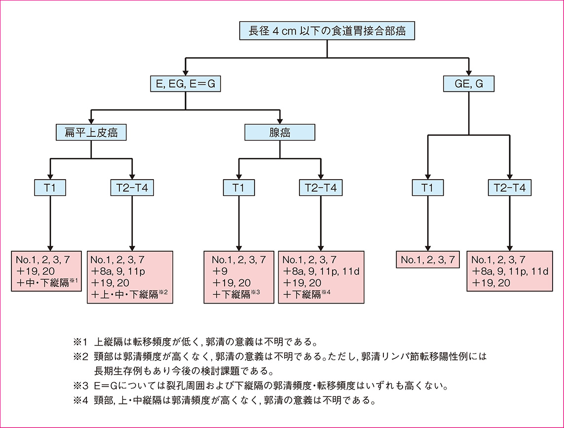 長径4 cm以下の食道胃接合部癌に対するリンパ節郭清アルゴリズム