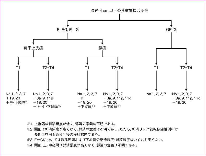 長径4 cm以下の食道胃接合部癌に対するリンパ節郭清アルゴリズム