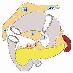 図4