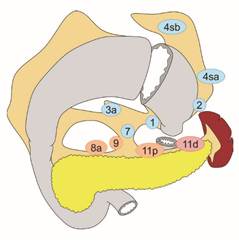 図5