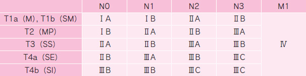 表1　進行度分類（Stage）