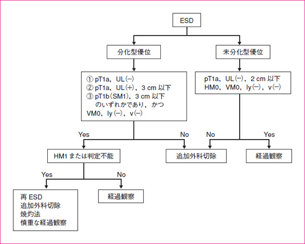 図　6　ESD 後の治療方針アルゴリズム