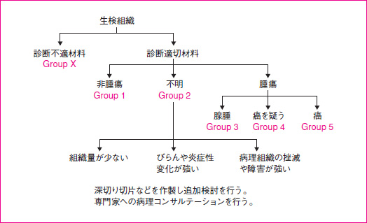 図8　Group 分類に用いられる病理診断のアルゴリズム